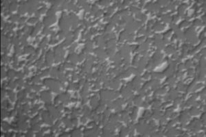 reaction bonded silicon carbide - china ceramics